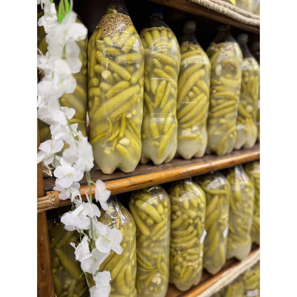 YERLİ TURŞU(BÜYÜK)-ADET