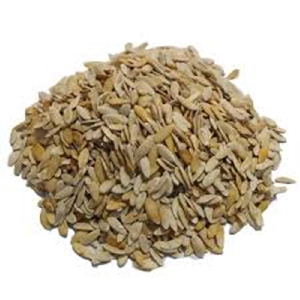 DUBLE KAVUN ÇEKİRDEĞİ -(KG)