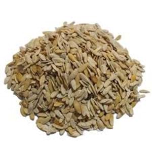 DUBLE KAVUN ÇEKİRDEĞİ -(KG)