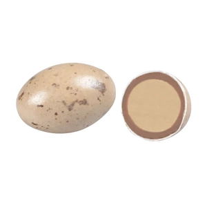 BOLÇİ DRAJE (Badem Giandujalı)