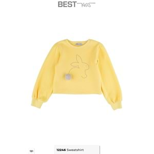 12246 SWEATSHIRT