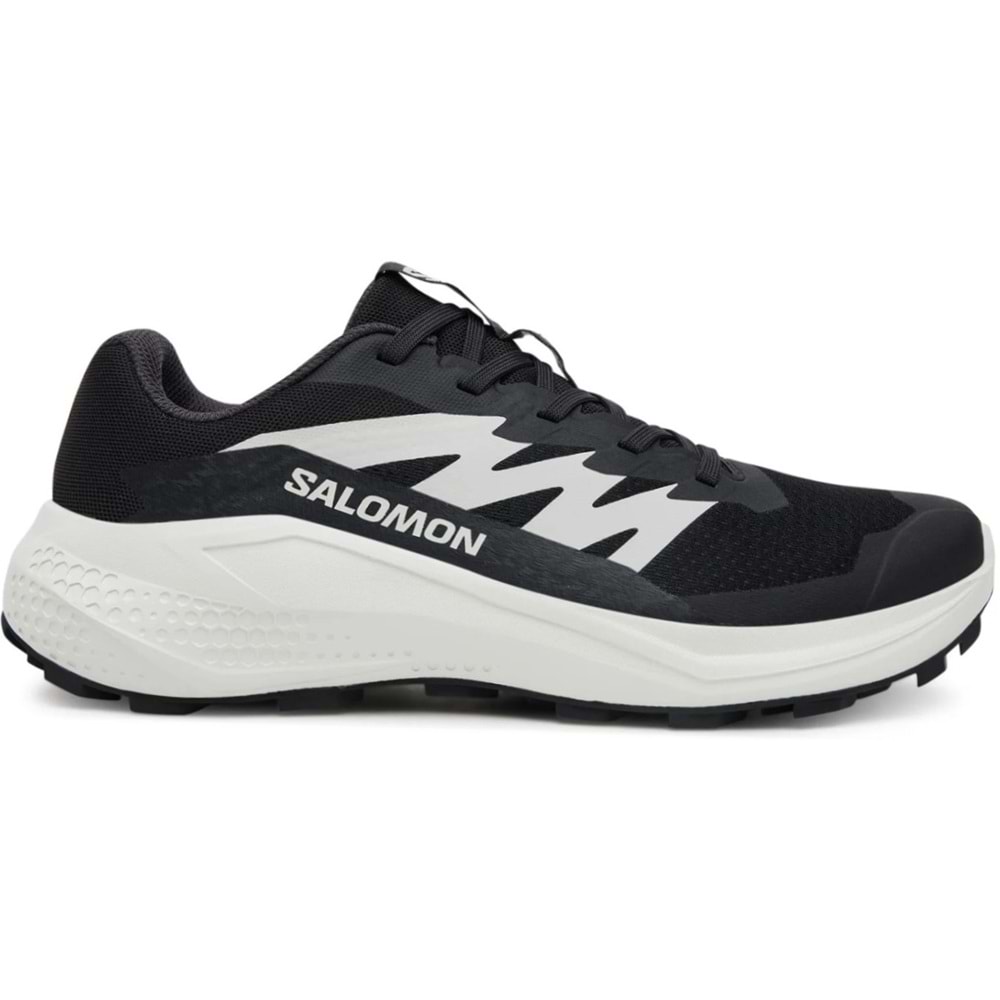 Salomon Alpha Glide L47801000 Erkek Spor Ayakkabı