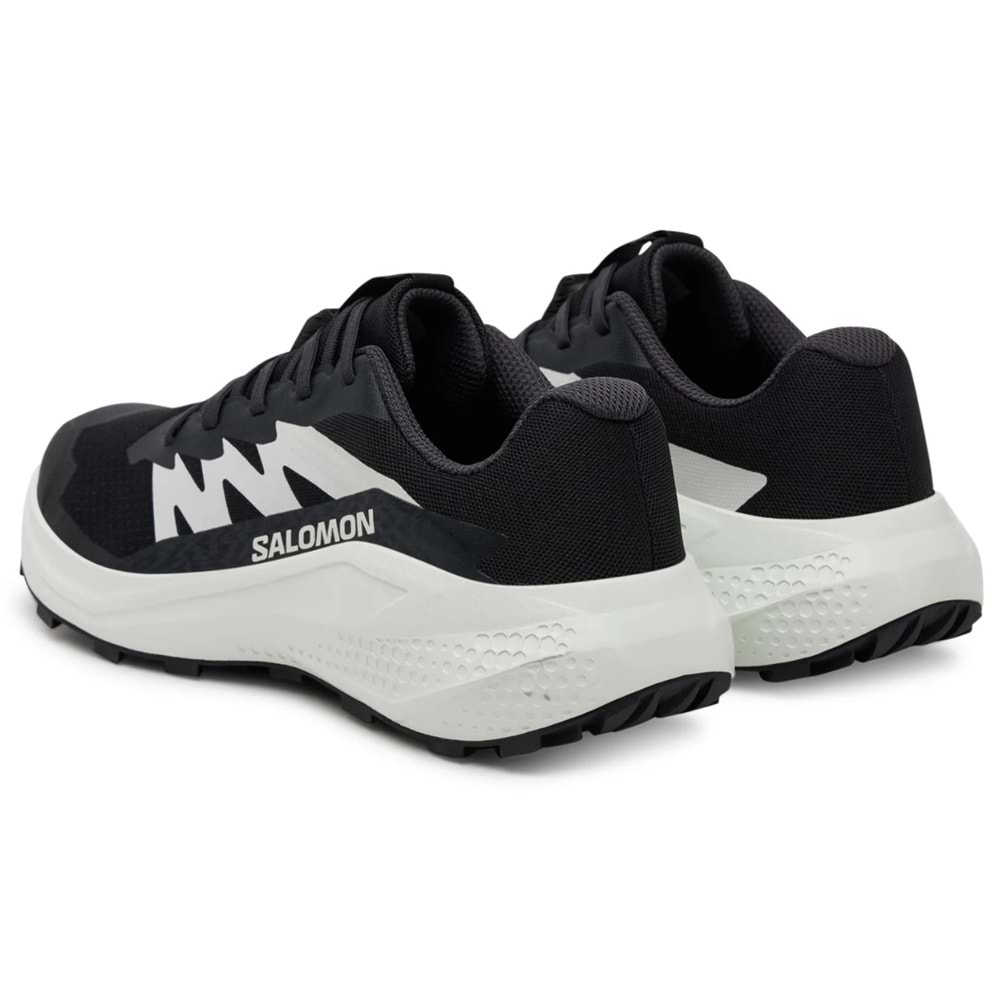 Salomon Alpha Glide L47801000 Erkek Spor Ayakkabı