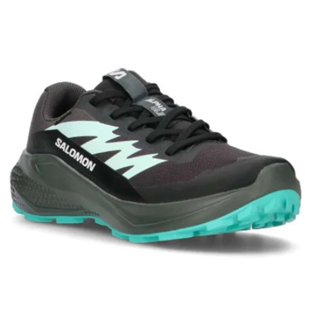Salomon Alpha Glide Gtx W Gore-Tex® L47802400 Erkek Spor Ayakkabı