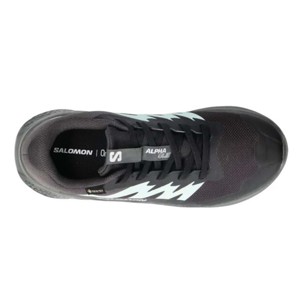 Salomon Alpha Glide Gtx W Gore-Tex® L47802400 Erkek Spor Ayakkabı
