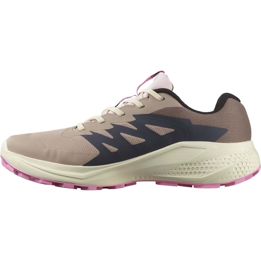 Salomon Alpha Glide Gtx W Gore-Tex® L47857900 Erkek Spor Ayakkabı