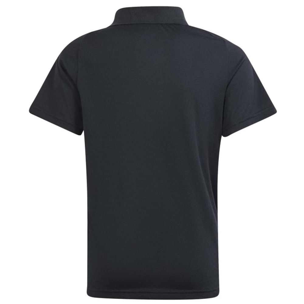 Adidas Tiro 24 C Polo Yaka Tişört Erkek T-Shirt
