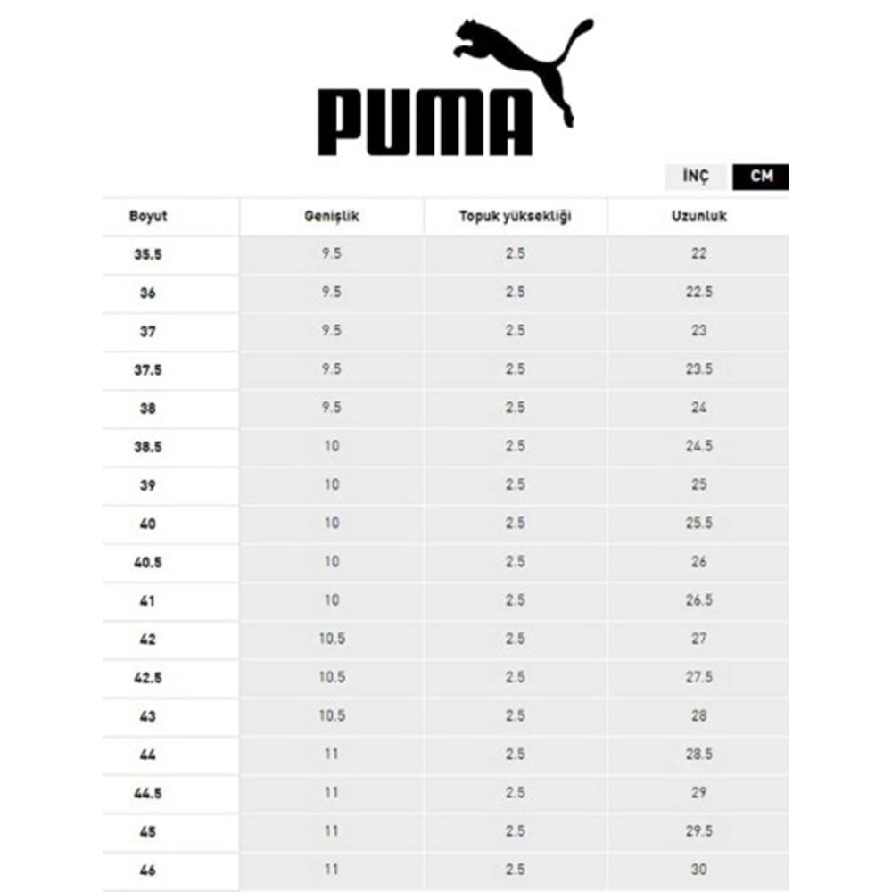 Puma Carina 3.0 Aqua Metallics 400722-02 Unisex Spor Ayakkabı