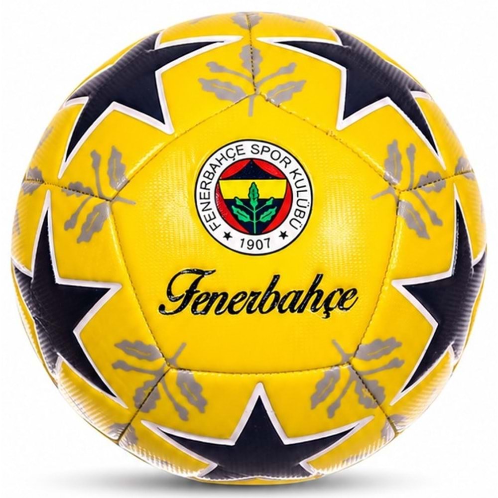 Fenerbahçe 5 Numara Futbol Topu