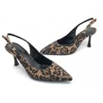 LEOPAR