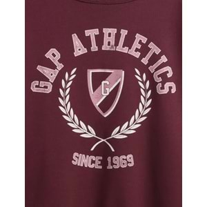 Gap 800457 Oversized Gap Grafik Sweatshirt Kadın Sweatshirt