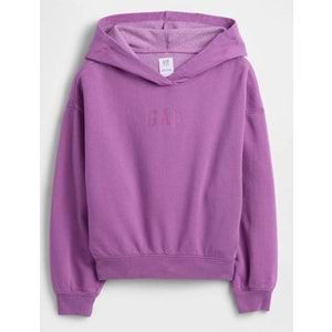 Gap 862110 Gap Logo Baskılı Kapüşonlu Çocuk Sweatshirt