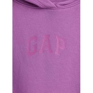 Gap 862110 Gap Logo Baskılı Kapüşonlu Çocuk Sweatshirt