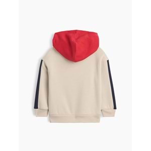 Gap Relaxed Colorblock Gap Logo Baskılı Kapüşonlu Çocuk Sweatshirt