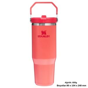 Stanley The IceFlow Flip Straw Pipetli Termos Bardak 0.89 LT Matara