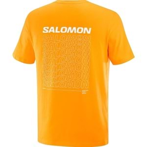Salomon LC2219700 Graphic Perf SS Tee Tişört Erkek T-Shirt