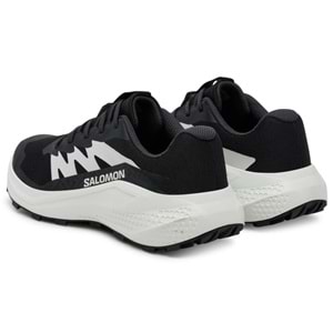 Salomon Alpha Glide L47801000 Erkek Spor Ayakkabı