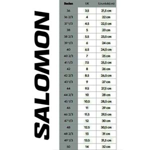 Salomon Aero Glide 4 L49147000 Patika Koşu Ayakkabısı Unisex Spor Ayakkabı