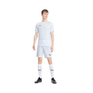 Puma 704171-14 Teamgoal 23 Jersey T-Shirt Dry-Cell Erkek Tişört