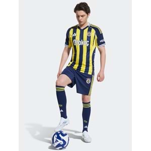 Fenerbahçe S.K. Çubuklu Forma 25/26 Erkek İç Saha Forması