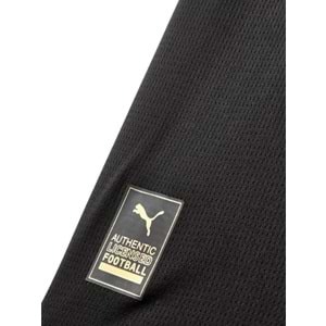 Galatasaray S.K. Limited Edition Siyah Forma 25/26 4. Forma 5 Yıldızlı Erkek Forma