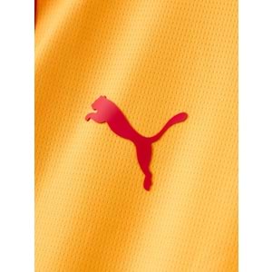 Galatasaray S.K. Parçalı Forma 26/27 İç Saha Parçalı 5 Yıldızlı Erkek Forma