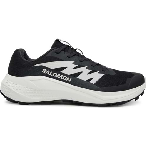 Salomon Alpha Glide L47801000 Erkek Spor Ayakkabı