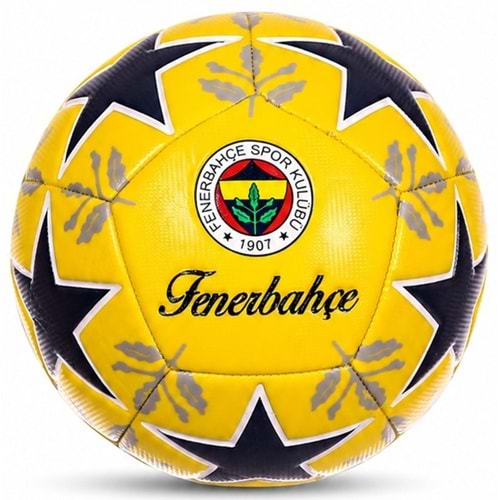 Fenerbahçe 5 Numara Futbol Topu