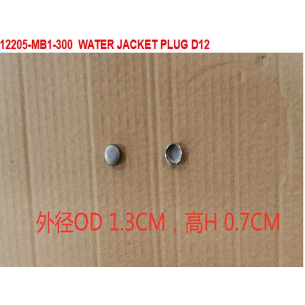 SYM SUBAP KAPAGI FİŞİ 12205-MB1-300