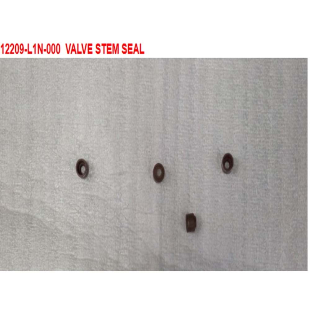 SYM SUBAP KECESI ADET(PKT5) 12209-L1N-000