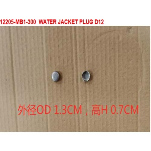 SYM SUBAP KAPAGI FİŞİ 12205-MB1-300