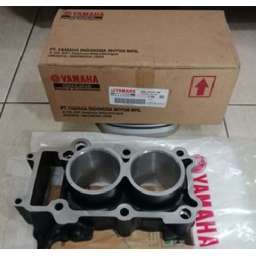 YAMAHA R25 MT 25 SİLİNDİR (BOŞ) 1WD-E1311-10