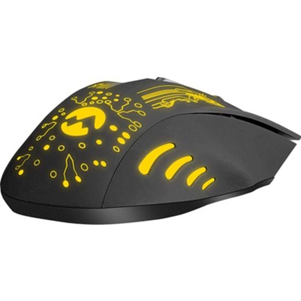 Everest SM-790 SWANKY Siyah 3200 DPİ Gaming Oyuncu Mouse