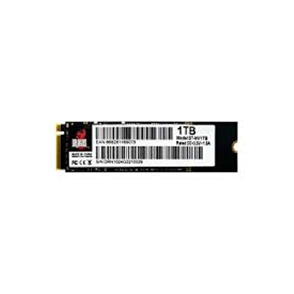Dragos Fastlap M2SSD NVME/1TB Sata3 2243/1594Mbs 1TB M2 Ssd