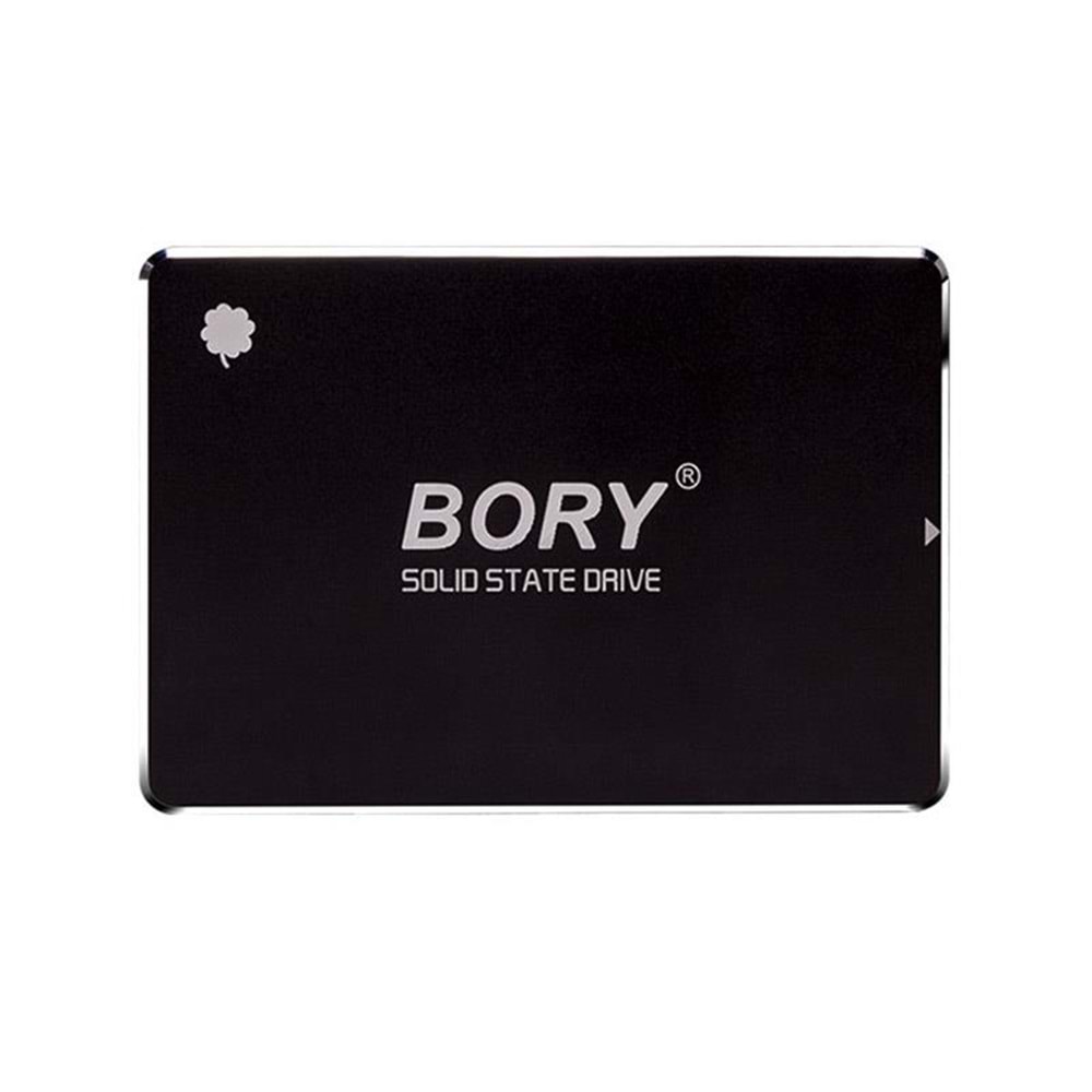 Bory R500-C256G 256Gb 550/510 MB/s Sata 3 SSD