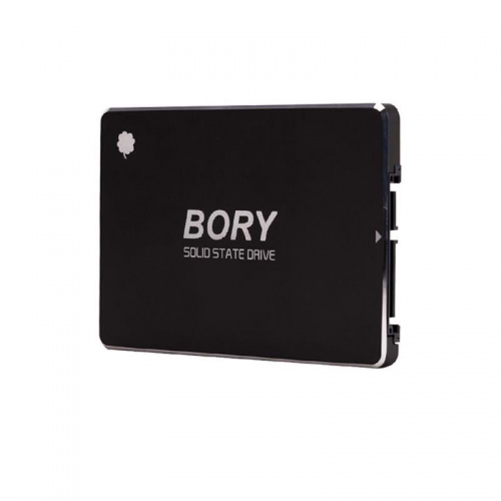 Bory R500-C256G 256Gb 550/510 MB/s Sata 3 SSD