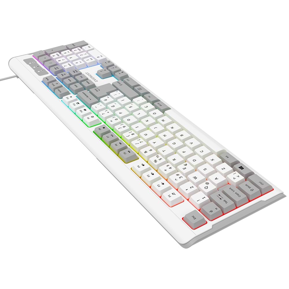 Everest KB-74 Beyaz/Gri USB Rainbow Aydınlatmalı Q Membrane