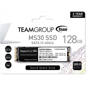 Team TM8PS7128G0C101 128GB TEAM M.2-2280 500/300MB SATA3 MS30 SSD