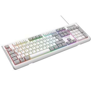 Everest KB-74 Beyaz/Gri USB Rainbow Aydınlatmalı Q Membrane