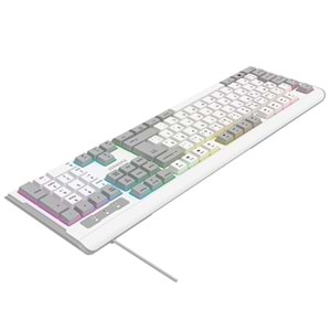 Everest KB-74 Beyaz/Gri USB Rainbow Aydınlatmalı Q Membrane