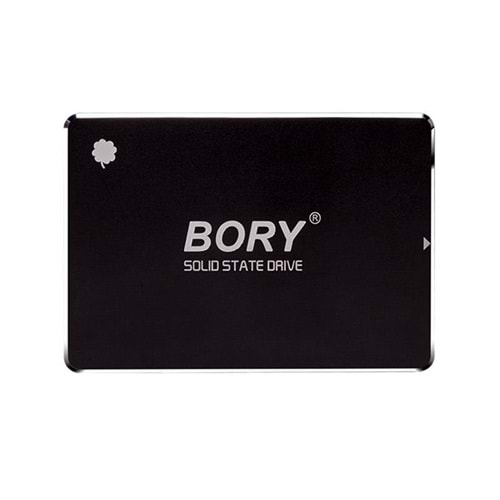 Bory R500-C256G 256Gb 550/510 MB/s Sata 3 SSD